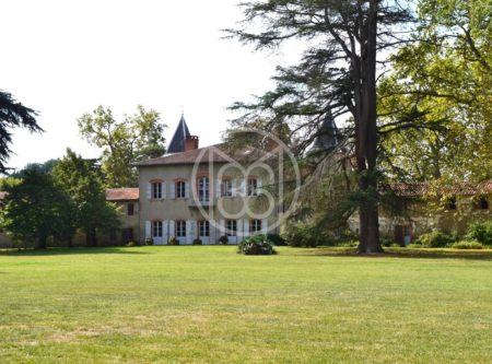 CHATEAU – DEPENDANCES – MAISON DE GARDIEN  – 3HA – 45 MN DE TOULOUSE - 8182TS