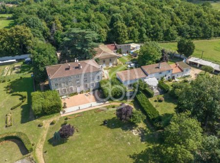 PUY DE DOME – PROCHE DE BILLOM – LUXUEUSE MAISON DE MAITRE XVIIIe RENOVEE ET DEPENDANCES. PARC DE 9HA - 20500AU