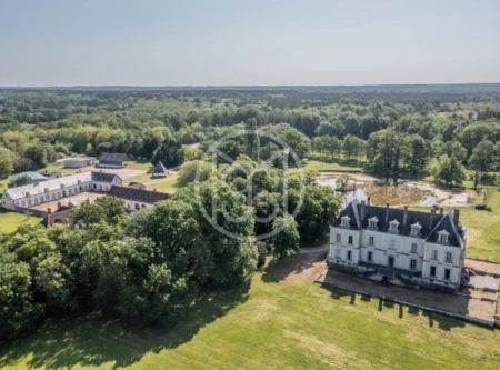 CASTLE OF THE XIXTH CENTURY NEAR ROMORANTIN IN LOIR-ET-CHER - 20484cl