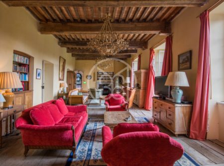 FAMILY CHATEAU IN AVEYRON - 8815TS
