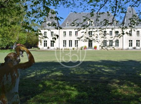 CHATEAU NEAR RIBERAC - 900689bx