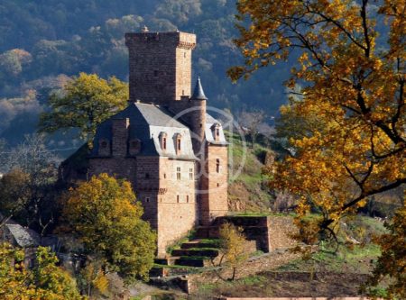 LISTED MEDIEVAL CASTLE WITH OUTBUILDINGS - 8673TS