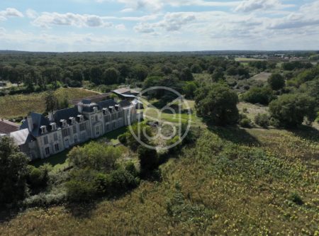 LATE RENAISSANCE CHATEAU SET IN 26 HA - 9778PO
