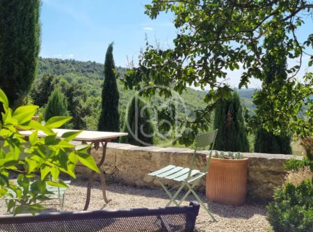 DRÔME PROVENCALE  – BELLE DEMEURE DE 290 M² AVEC VUE PANORAMIQUE - 4712LY