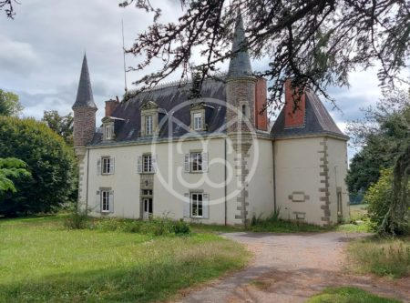 Sud de Limoges, Château du XIXème s. avec dépendance et parc - FP20505LI