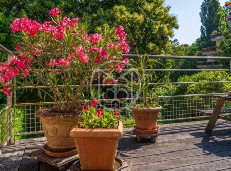 Nantes Canclaux – Maison familiale avec grand jardin - 2284NA