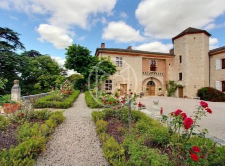 BEAU CHATEAU RENOVE – DEPENDANCES ET PISCINE - 8059TS