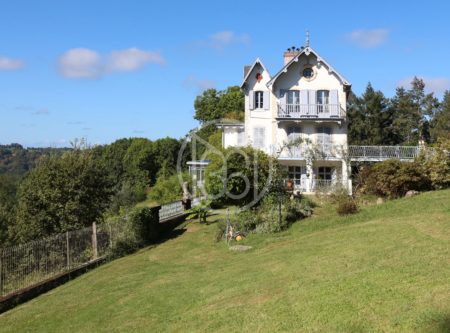 MANOIR XIXEME FACE AUX PYRENEES - 900863bx