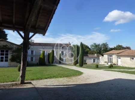 CHARACTER PROPERTY IN SOUTH POITOU - 9798PO