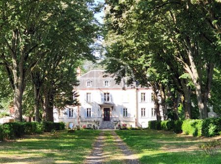 Allier – Manoir XIXème rénové avec dépendances et parc de 4ha - 20536AU