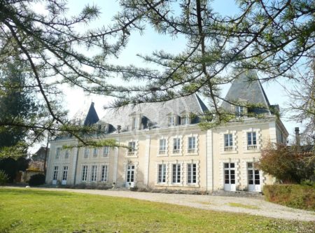 CHATEAU PROCHE RIBERAC - 900689bx