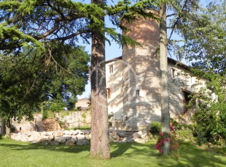 CHATEAU XIIIEME AVEC GITE - 8897TS