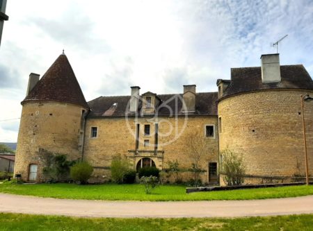 CHÂTEAU DU XVe siècle, 3800 m² de TERRAIN - 1687MHL