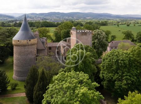 LOIRE – RARE – CHATEAU RENAISSANCE - 4536LY