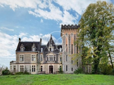 MAJESTUEUX CHATEAU NEOGOTHIQUE XIXEME - 900930bx