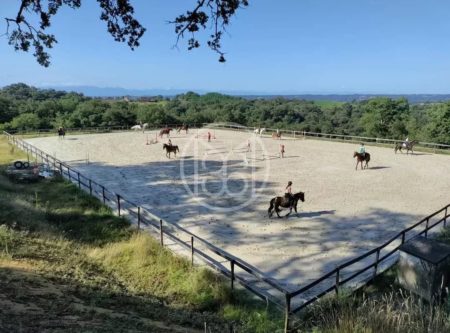 BEAU DOMAINE EQUESTRE 11HA – PROCHE DE PAU - 900924bx