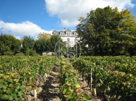 East of France, 19th century chateau with panoramic views - 1718VA