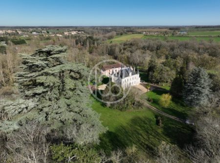 CHATEAU WITH GITE AND OUTBUILDINGS BORDERED BY A STREAM - 9875po