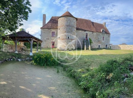 MEDIEVAL CHATEAU TO RESTORE IN THE BRENNE REGION - 9807PO