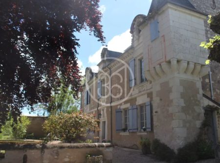 Charming manor house near sainte maure de Touraine - 20782