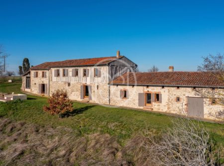 LOVELY RENOVATED FARMHOUSE FACING THE PYRENNEES - 8921TS