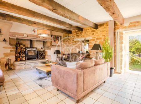 Rieuc-sur-Belon – lovely set of 3 thatched cottages- Exclusive - 20740BR