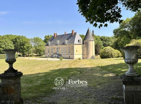CHÂTEAU XVIIe- DEPENDANCES- PARC DE 7,7 HECTARES - 1692MAC