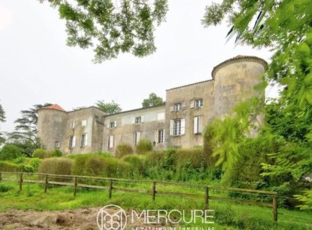 CHATEAU WITH OUTBUILDINGS – GREAT VIEW - 12370vm