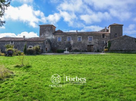 UNDER COMPROMISE- UNTHING TERRITORY – BETWEEN CAUSSES AND CEVENNES – SUPERB CHATEAU ON 283 HA - 19598LR