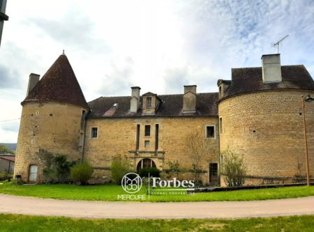 15th CENTURY CHATEAU, 3800 m² of LAND - 1687MHL