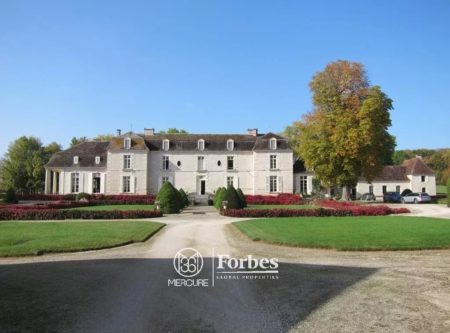 AUBE CHATEAU XVIII-XIXth CENTURIES ENCLOSED MH ON 13 HA OF CLOSED PARK - 1405EL