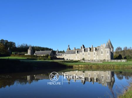 ELEGANT 16TH – 17TH CENTURIES CHATEAU – 17 ROOMS – 57HA - 19602BR