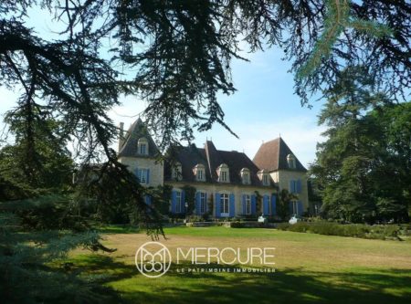MAGNIFIQUE CHÂTEAU XVIIEME PROCHE DE BERGERAC - 900813bx