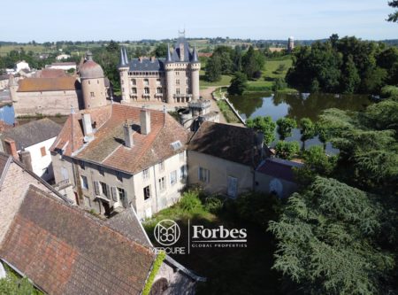 Facing the medieval castle, its pond and park, charming property with outbuildings - 1736VA