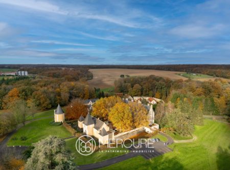 Centre of France, On the outskirts of Amboise – exceptional property set in 5 hectares - 20972CL