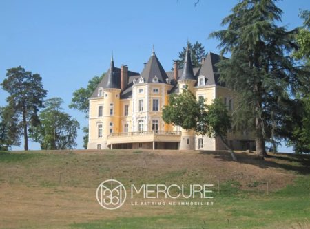 CHÂTEAU DU XIXème SIECLE ENTIEREMENT RESTAURE - 1503EL