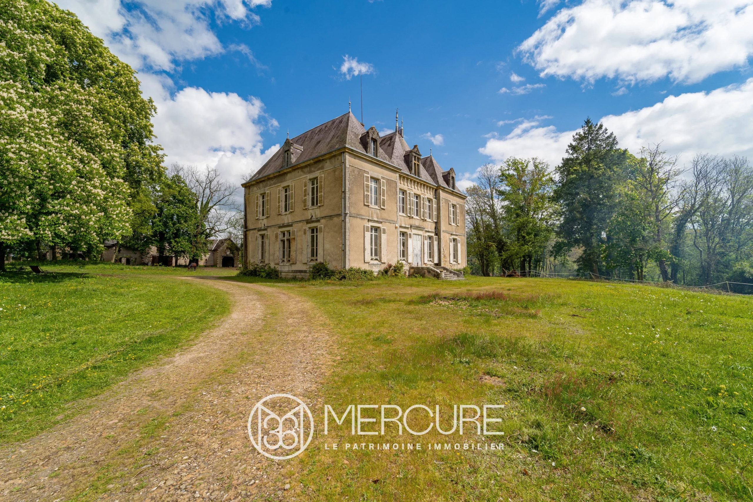 CHATEAU TO RENOVATE – OUTBUILDINGS – 3 HECTARES OF PARKLAND - 1728MAC