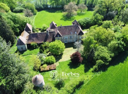 Château inscrit Monument Historique et ses 7 hectares de parc, bois, pré et rivière - 21208VA