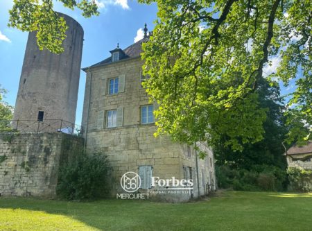 Rare opportunité patrimoniale : ensemble classé Monument Historique dans un cadre naturel exceptionnel - 21225CP