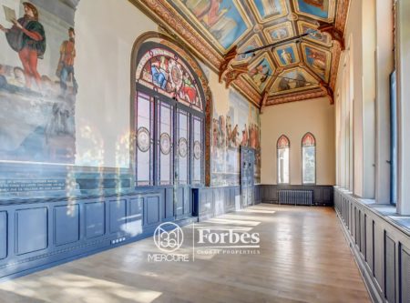 3-ROOM FLAT DUAL PURPOSE IN A LISTED HISTORIC CHATEAU - 9098TS