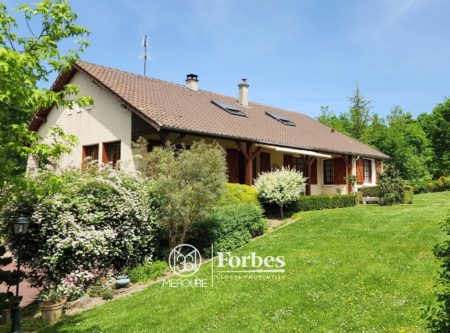 ALLIER, ST POURCAIN SUR SIOULE, MAISON DE CARACTERE DE CARACTERE DE 260m² SUR TERRAIN DE 1.1HA - 21112AU