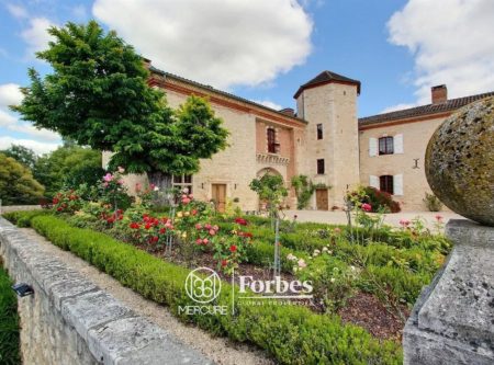 BEAU CHATEAU RENOVE – DEPENDANCES ET PISCINE - 8059TS