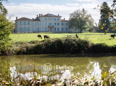 LOIRE – PLAINE DU FOREZ – CHATEAU SUR 4,8 HA - 4838LY