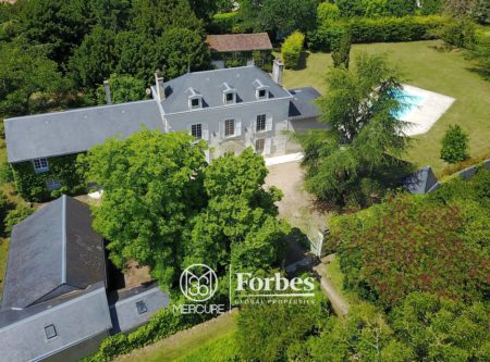 MAISON DE MAITRE AVEC PARC ET PISCINE - 10151PO