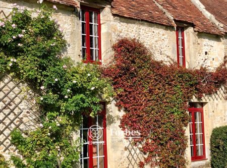Near Argentant – charming set of five houses - 20244NO