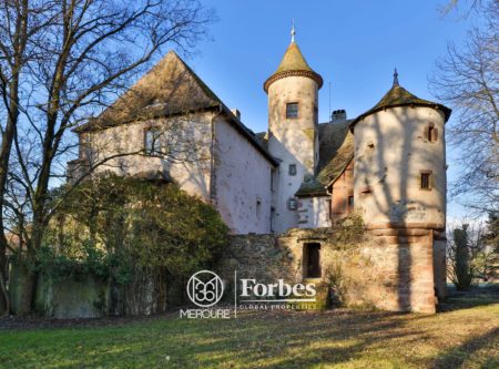North-East of France, 13th century listed chateau set on 3.6 ha with outbuildings - 21216CP