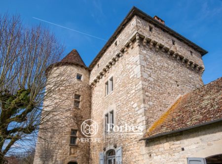 CHATEAU XIVEME CLASSE MH – VUE PANORAMIQUE SUR LE LOT - 9122TS