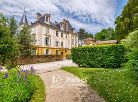 Magnifique Duplex T3 dans Château du 18ème- Vue Saône - 4919LY