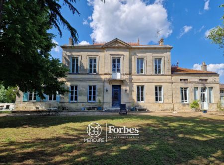 CHATEAU WITH VINEYARD – BLAYE - 900755bx