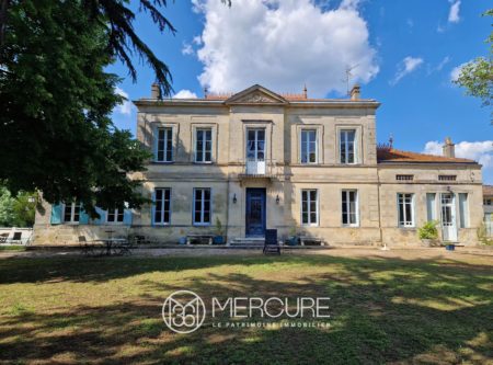 CHATEAU AVEC VIGNOBLE – BLAYE - 900755bx